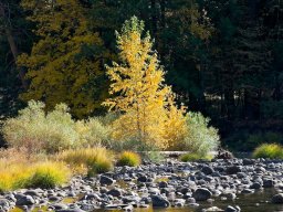 2008Fallcolors-8